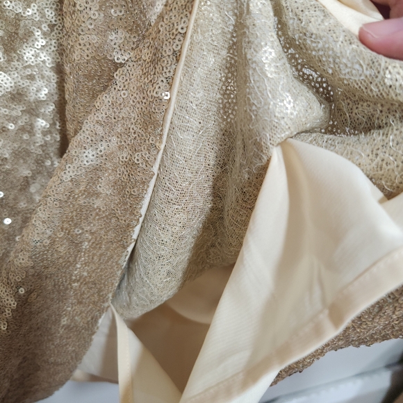Abercrombie Gold Sequin Dress - Picture 5 of 8